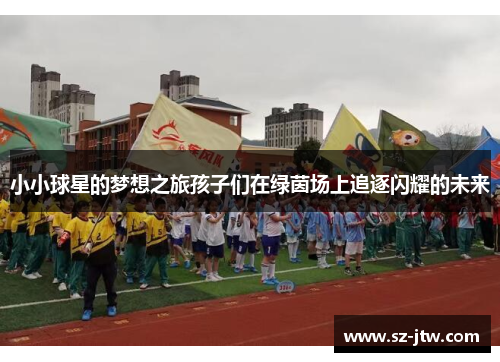 小小球星的梦想之旅孩子们在绿茵场上追逐闪耀的未来