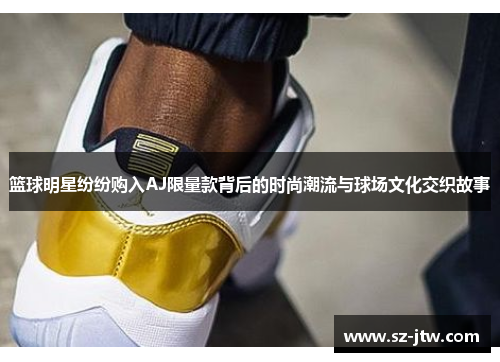 篮球明星纷纷购入AJ限量款背后的时尚潮流与球场文化交织故事